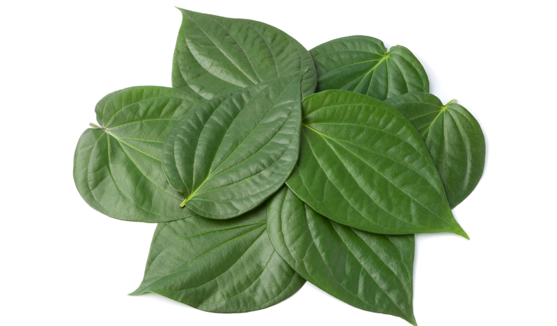 Súc miệng với nước lá lốt giúp chữa đau răng