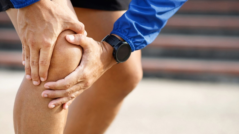 Lá mơ được sử dụng trong một số bài thuốc dân gian hỗ trợ giảm đau nhức khớp mức độ nhẹ