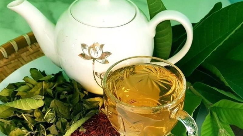 công dụng của lá ổi 2