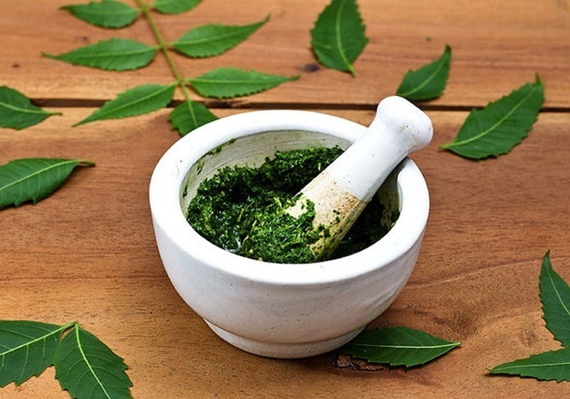 Trị mụn nhọt bằng lá râm bụt có hiệu quả không? Hướng dẫn cách làm 2