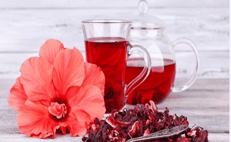 Trị mụn nhọt bằng lá râm bụt có hiệu quả không? Hướng dẫn cách làm 3