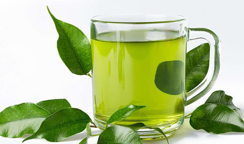 Lá sung có tác dụng giúp bảo vệ gan