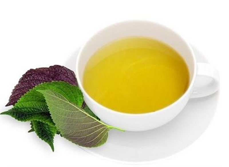 Chữa bệnh gout bằng lá tía tô có được không?