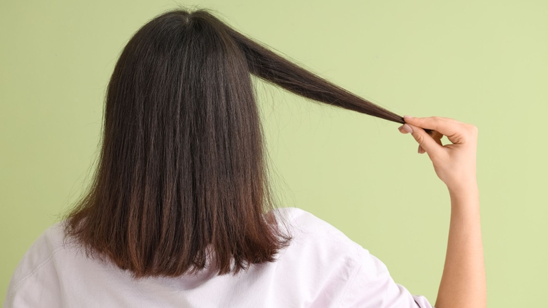 Lá tía tô được xem là giải pháp tự nhiên, an toàn giúp cải thiện tình trạng rụng tóc