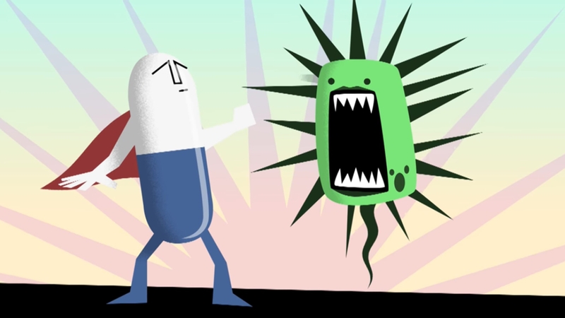 Lá trầu không: Vị thuốc có nhiều tác dụng 3.jpg