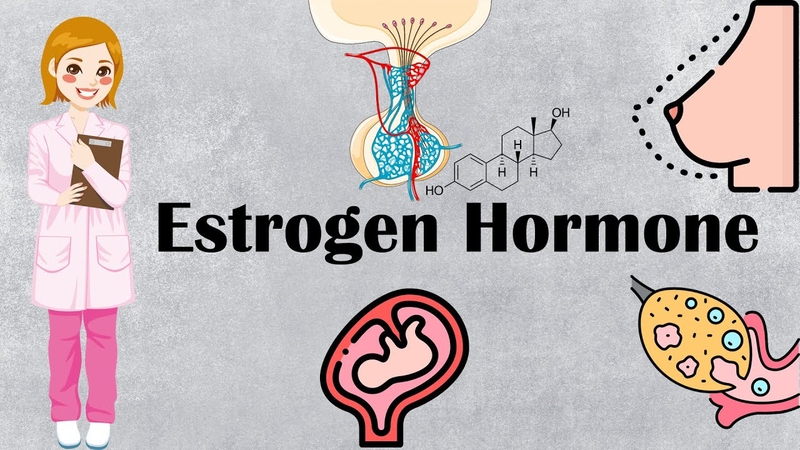 Lá tre: Vị thuốc gần gũi quanh ta 5.jpg