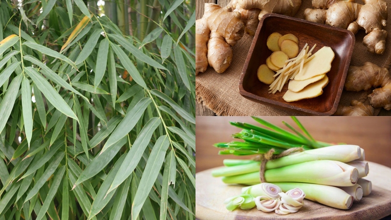 Nước lá tre gai được tin dùng như một loại trà thảo mộc giúp giải tỏa căng thẳng