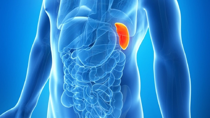 Lách to: Nguyên nhân và cách xử trí 1