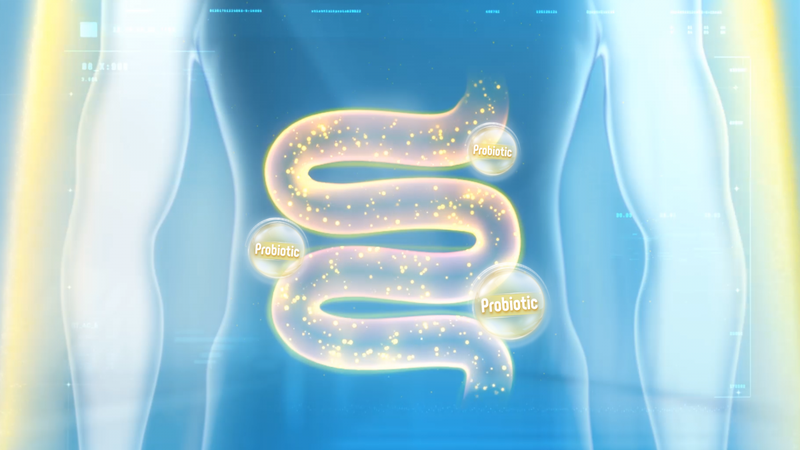 Lactobacillus acidophilus là gì? Có lợi cho sức khoẻ không?  3