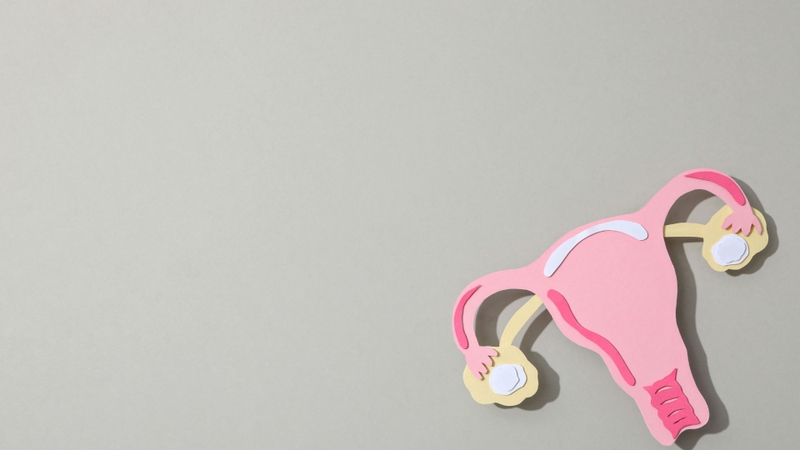 Lactobacillus rhamnosus là gì? Công dụng và cách dùng 6