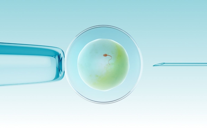 Làm IVF có bị thai trứng không? Cách phòng ngừa thai trứng 1