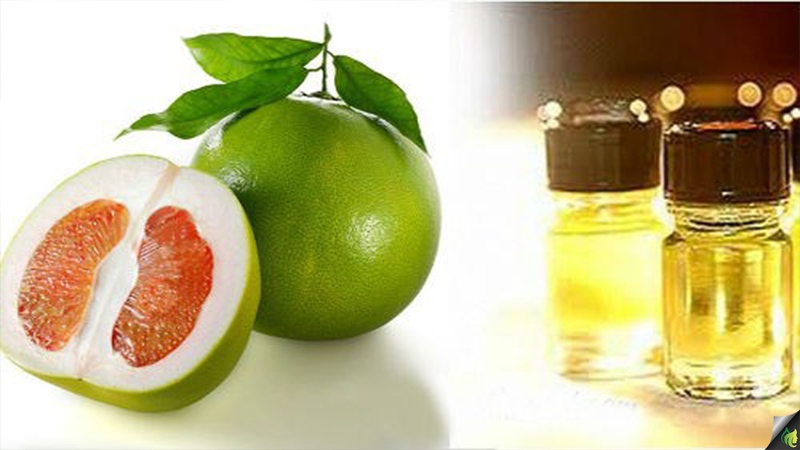 Làm cách nào để hết rụng tóc và có mái tóc bồng bềnh, dày khỏe? 2