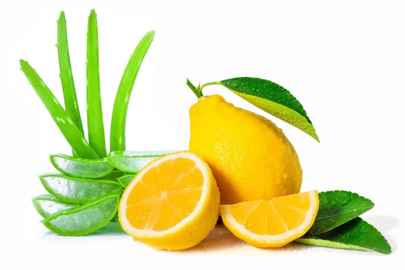 Làm đẹp bằng nha đam đông đá có mang lại hiệu quả không? 5