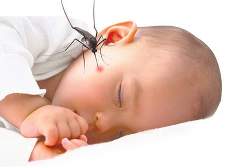 Làm gì để phòng tránh trẻ sơ sinh bị muỗi đốt 1