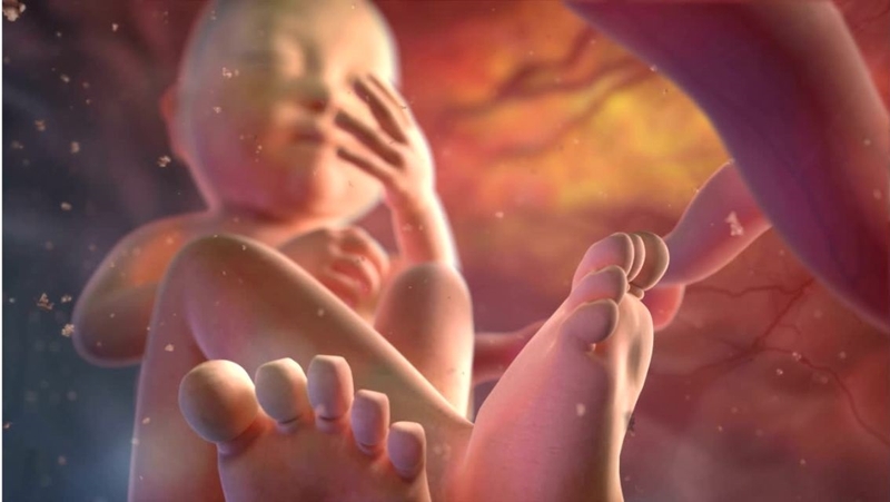 Làm sao biết nước ối nhiều hay ít? Tại sao cần theo dõi lượng nước ối 1