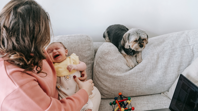 lam-the-nao-de-biet-be-da-bu-du-sua-va-nhung-dieu-me-can-biet-khi-con-bu-khong-du-sua 1.png