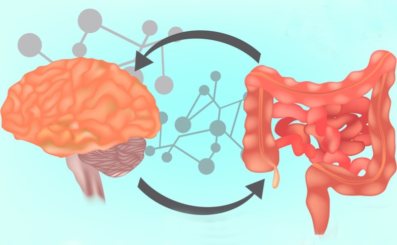 Làm thế nào để giữ cân bằng hệ vi sinh đường ruột? 02