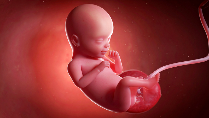 Làm NIPT ở tuần 12 có thể phát hiện mố số dị tật bẩm sinh