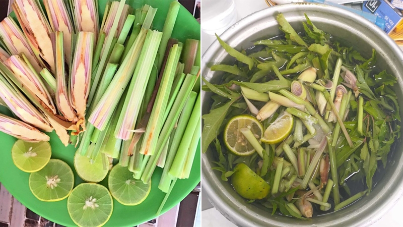 Làn da đẹp tự nhiên nhờ xông mặt bằng lá đinh lăng 2