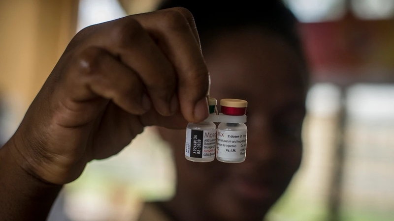 Lần đầu tiên vaccine sốt rét được WHO phê duyệt sau nhiều năm phát triển 3
