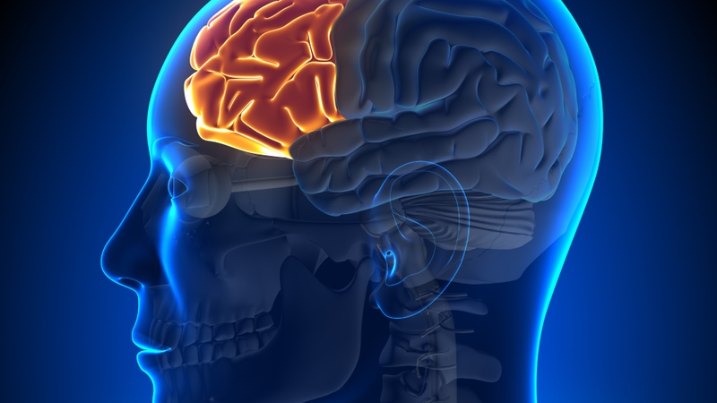 Lập kế hoạch chăm sóc người chấn thương sọ não: Quy trình chăm sóc và những lưu ý quan trọng 1