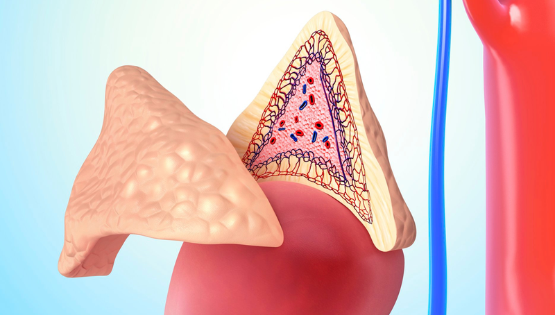 Lấy mẫu máu tĩnh mạch thượng thận siêu chọn lọc và biến chứng có thể gặp phải 4
