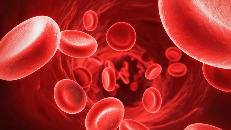 Lấy máu tĩnh mạch bẹn: Những điều bạn cần biết trước và sau thủ thuật 2