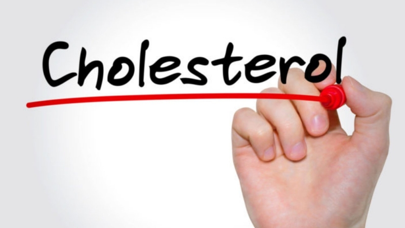 Lecithin là gì? Lợi ích của Lecithin đối với sức khỏe 1