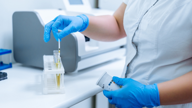 Lịch khám thai 3 tháng cuối mà các mẹ bầu nên nhớ 2