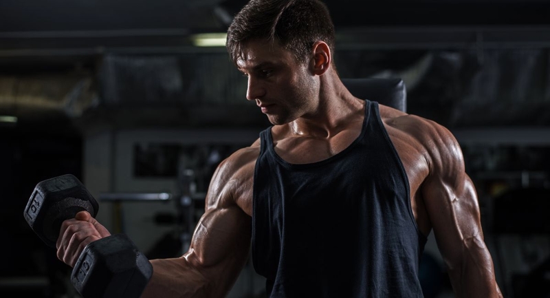 Lịch tập Push Pull Leg chi tiết, khoa học và tối ưu hiệu quả 1