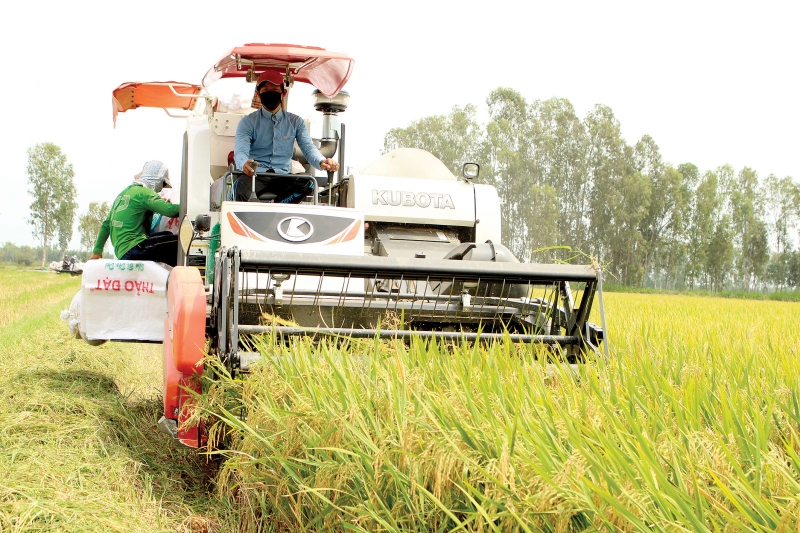 Liên quan đến thực phẩm thì khái niệm bền vững là gì?-2