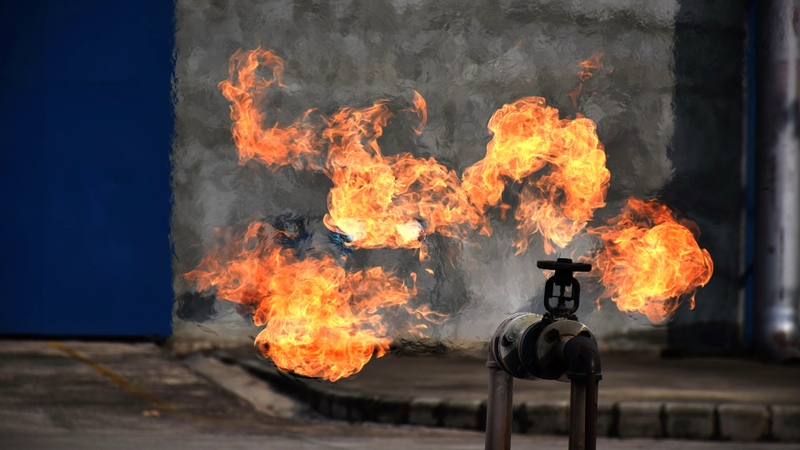 Liệt dây thần kinh khứu giác: Những điều bạn cần biết 4