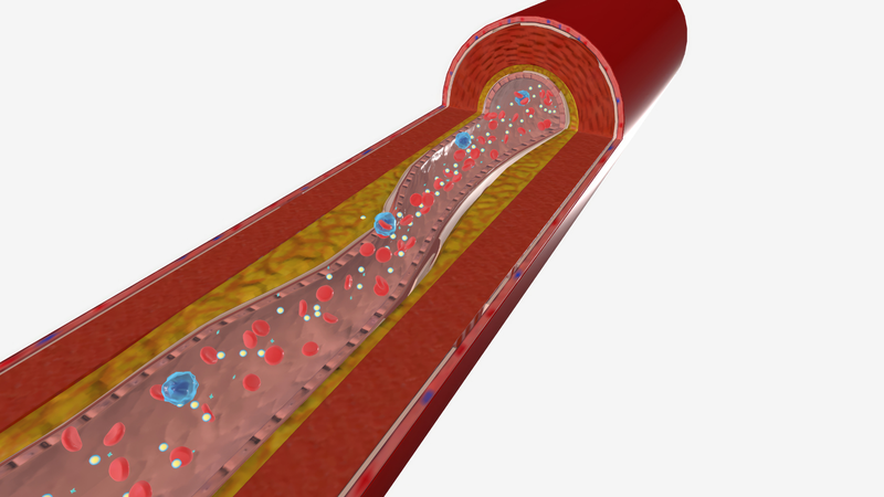 Liệu ăn trứng mỗi ngày có làm tăng cholesterol trong máu? 2