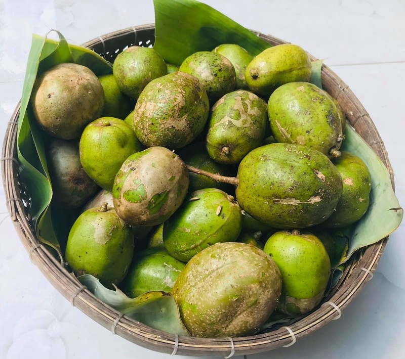 Liệu bà bầu uống nước ép cóc được không? Những điều cần lưu ý khi uống nước ép cóc 4