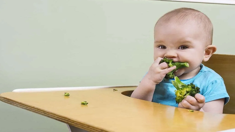 Liều lượng sử dụng yến sào cho trẻ em​ bao nhiêu là hợp lý? 2