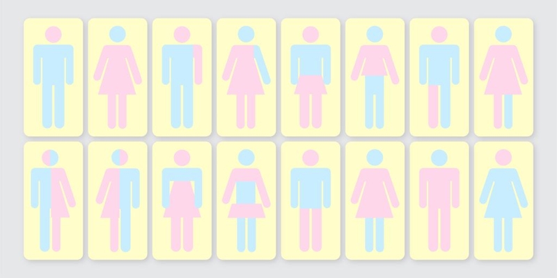 Liệu người song tính có 2 bộ phận sinh dục được không? Giải thích dưới góc nhìn y khoa 2