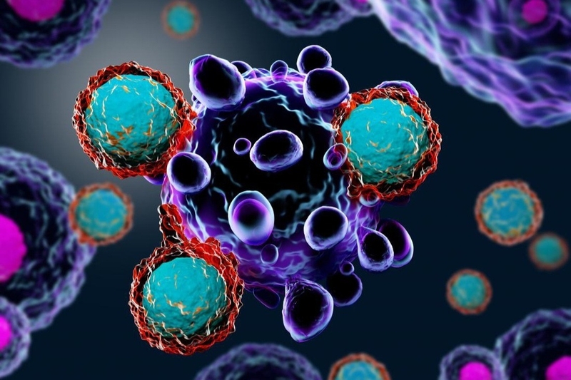 Liệu pháp tăng cường hệ miễn dịch tự thân: Giải pháp cho bệnh nhân ung thư 3