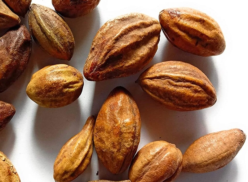 Liệu quả kha tử có dùng được cho bà bầu không? Công dụng trị ho của kha tử đối với mẹ bầu 2