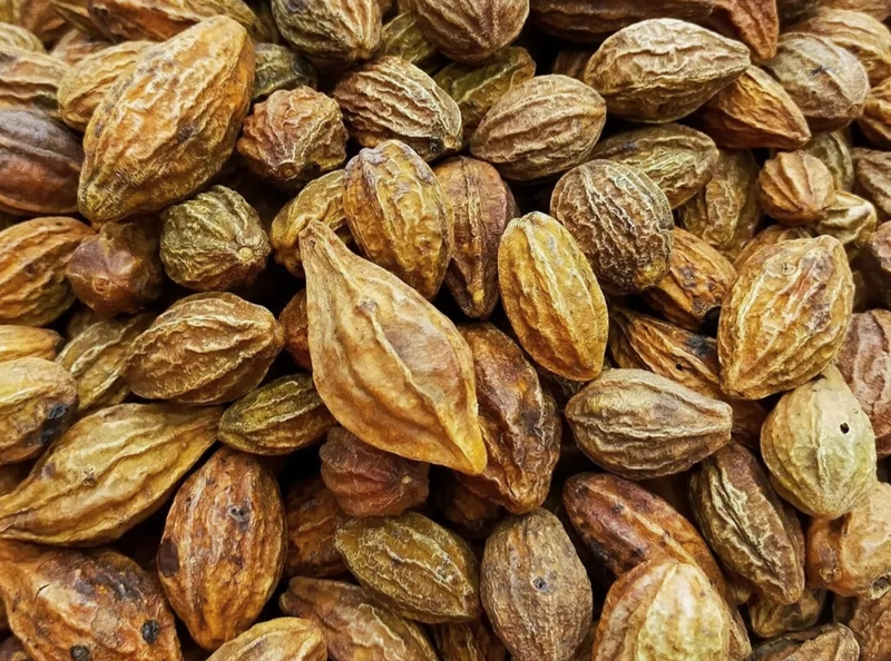 Liệu quả kha tử có dùng được cho bà bầu không? Công dụng trị ho của kha tử đối với mẹ bầu 4