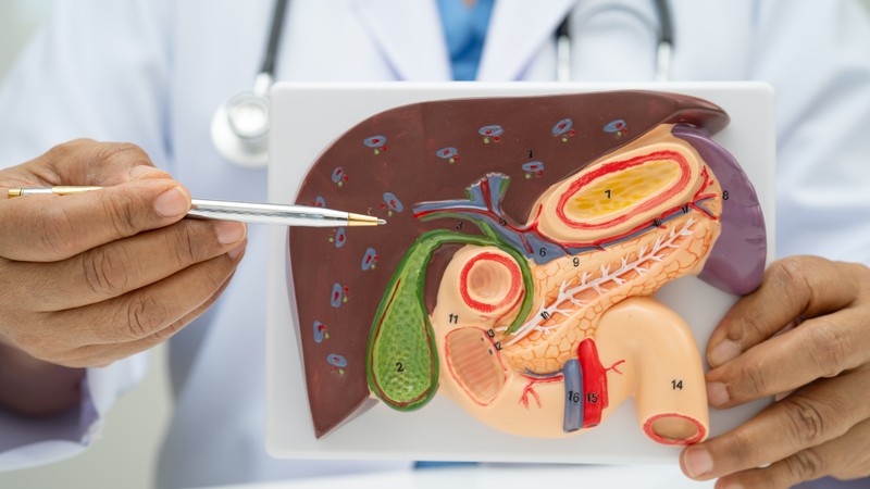 Liệu sau khi cắt túi mật có mọc lại không?