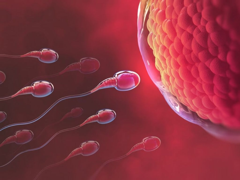 Liệu tinh trùng rửa bằng nước có sạch không và cách vệ sinh sau quan hệ 2