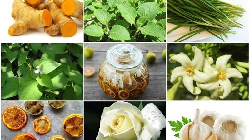 chăm sóc trẻ bị ho về đêm nhưng không sốt 3