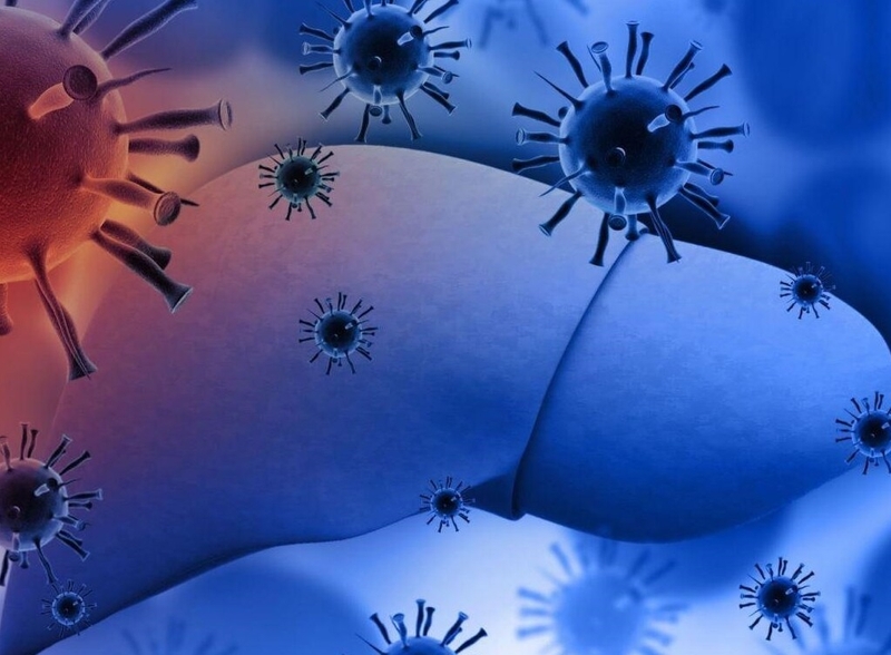 Liệu u gan và ung thư gan có khác nhau không? Làm thế nào để phân biệt hai bệnh lý này? 2