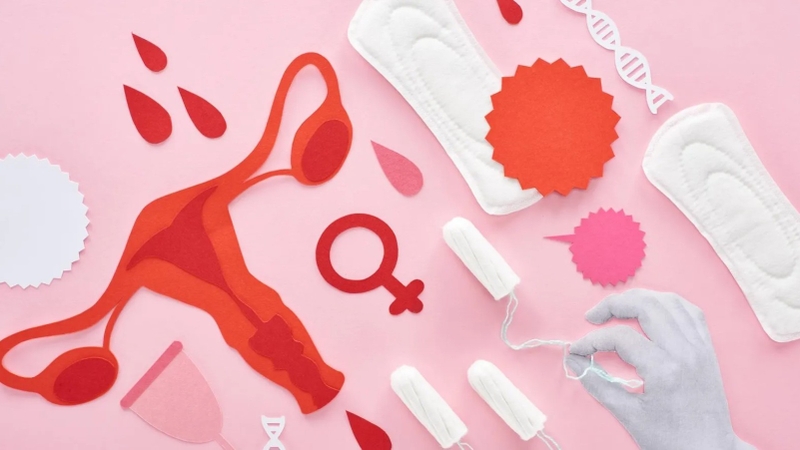 LMP là gì? Những chỉ số quan trọng khi siêu âm mẹ nên biết 1