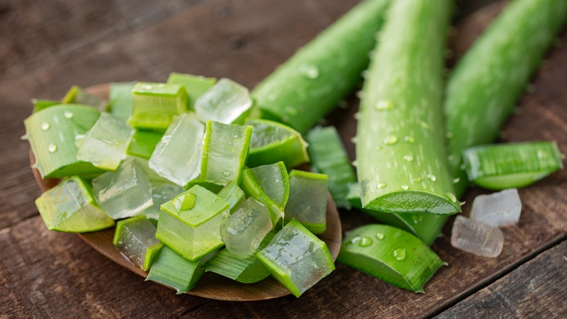 Lô hội (nha đam) giúp giảm sắc tố trên da như thế nào? 3