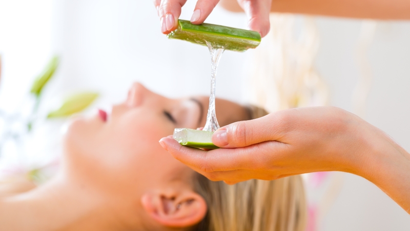 Lô hội (nha đam) giúp giảm sắc tố trên da như thế nào? 4