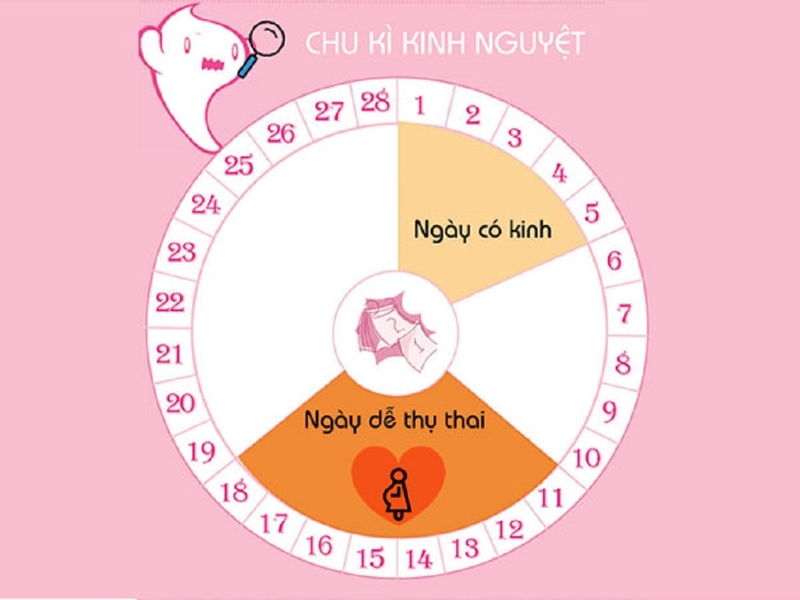Chu kỳ kinh nguyệt thường kéo dài khoảng 28 ngày