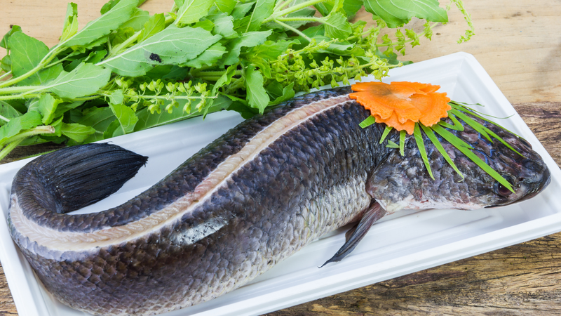 Loại cá nên tránh nếu không muốn axit uric tăng cao 2