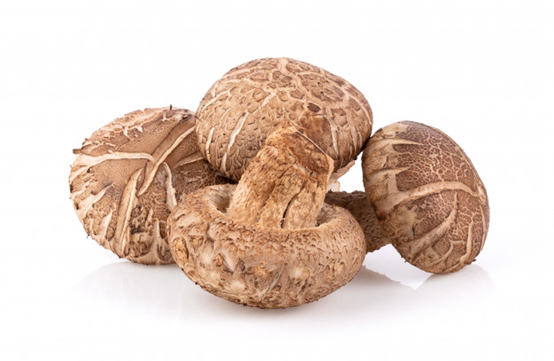 Nấm Hương hay nấm đông cô có dạng như cái ô, đường kính 4-10cm, màu nâu nhạt là loại nấm tốt cho bệnh nhân ung thư