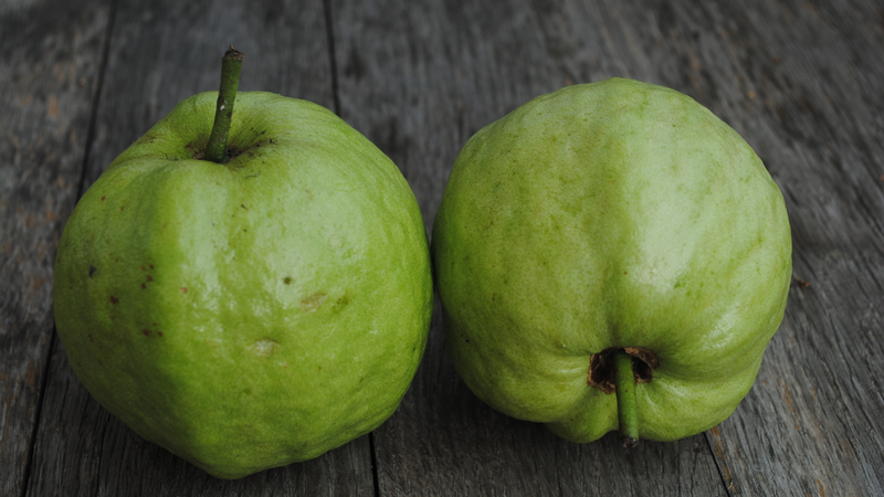 Loại quả dân dã giàu vitamin C gấp 4 lần cam ngừa ung thư và tiểu đường 3